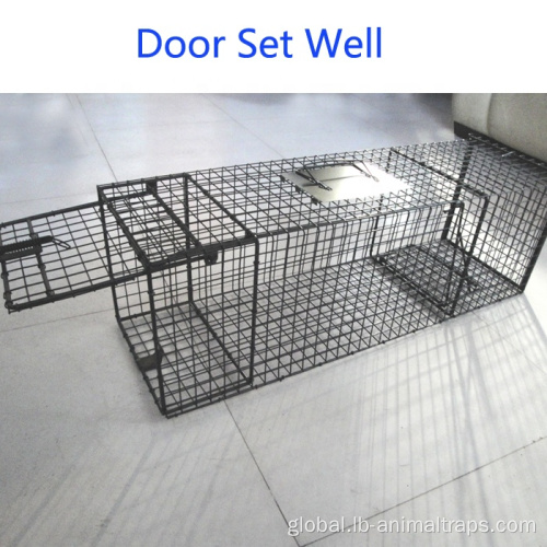 Sus304 Stainless Steel Wire Mesh Steel Wire Mesh Live Animal Trap Cages Manufactory
